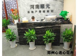 辦公室綠化方案