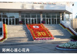 節(jié)日花壇設(shè)計(jì)擺放方案