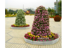 節日花壇設放方案