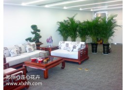 植物屏風設計推薦