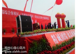 大型會場花卉布置