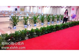 鄭州舞臺租花