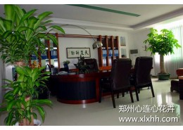 董事長辦公室花卉擺放