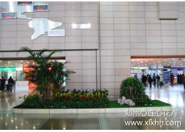 鄭州室內造景設計