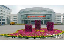 節日花草擺放設計