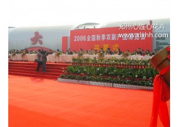 大型會(huì)場(chǎng)花卉布置