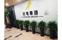 河南化電集團(tuán)