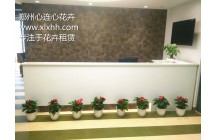 河南簡實信息技術