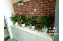 鄭州心連心 與誠(chéng)語(yǔ)科技牽手成功！