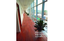 恭賀鄭州心連心與河南五建牽手成功！