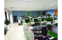 河南象聚集團新增辦公室擺放效果！