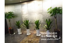 鄭州心連心與支付寶河南服務中心牽手成功！