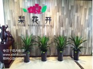 河南梨花開文化傳播有限公司