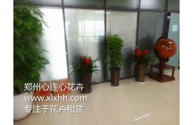 恭賀鄭州心連心與三金集團(tuán)合作成功！