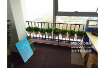 恭賀鄭州心連心與鄭州建立電子科技合作成功！