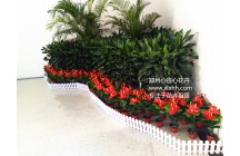 鄭州心連心擺放植物造景案例！